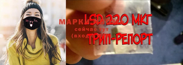 гидропоника Бугульма